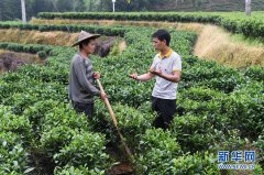 澳门威尼斯人网址：福建下党：抓党建促脱贫